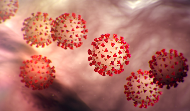 Coronavirus: What Do I Need To Know?