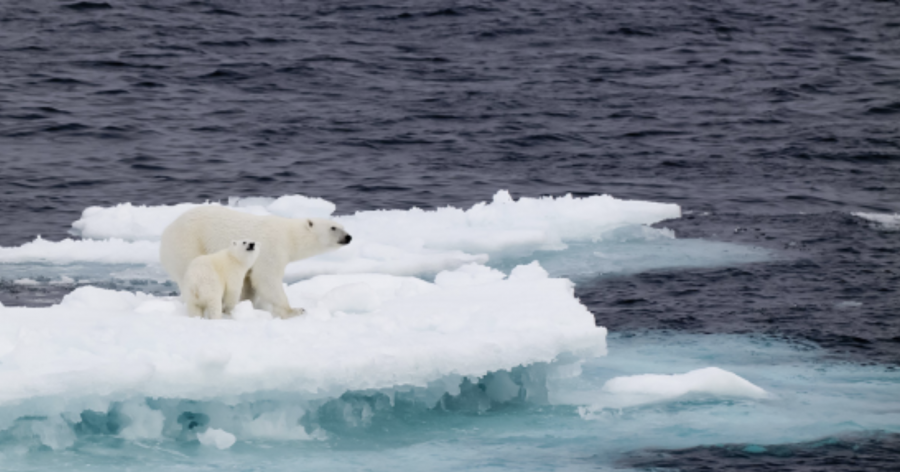 On Thin Ice, How the Inuit Adapt to Climate Change