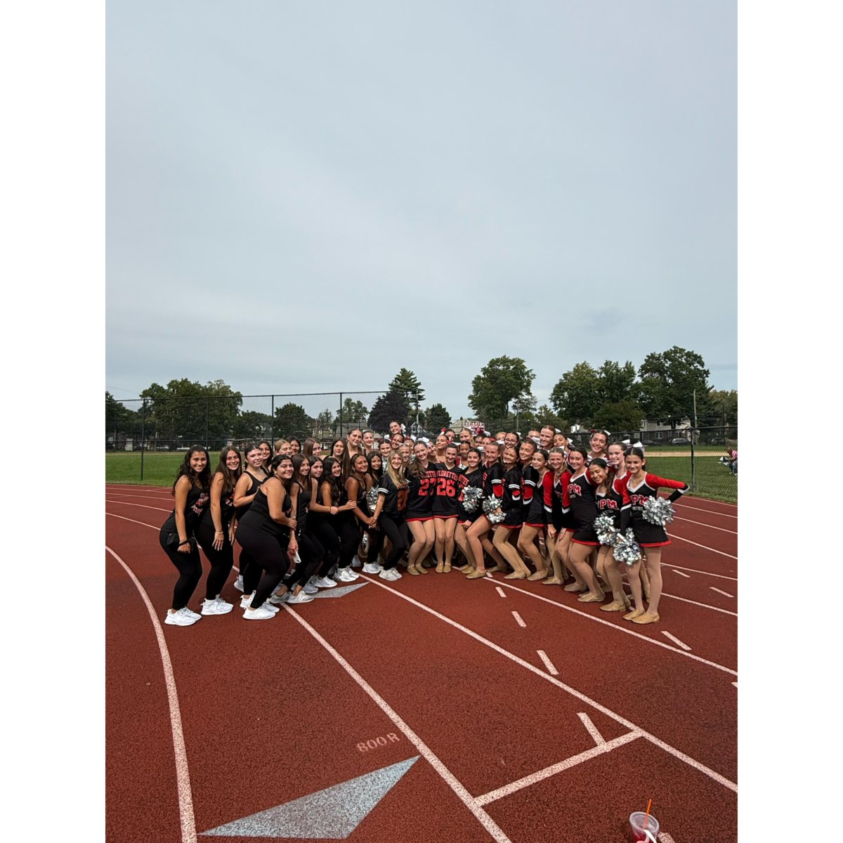 Florettes and Pirettes